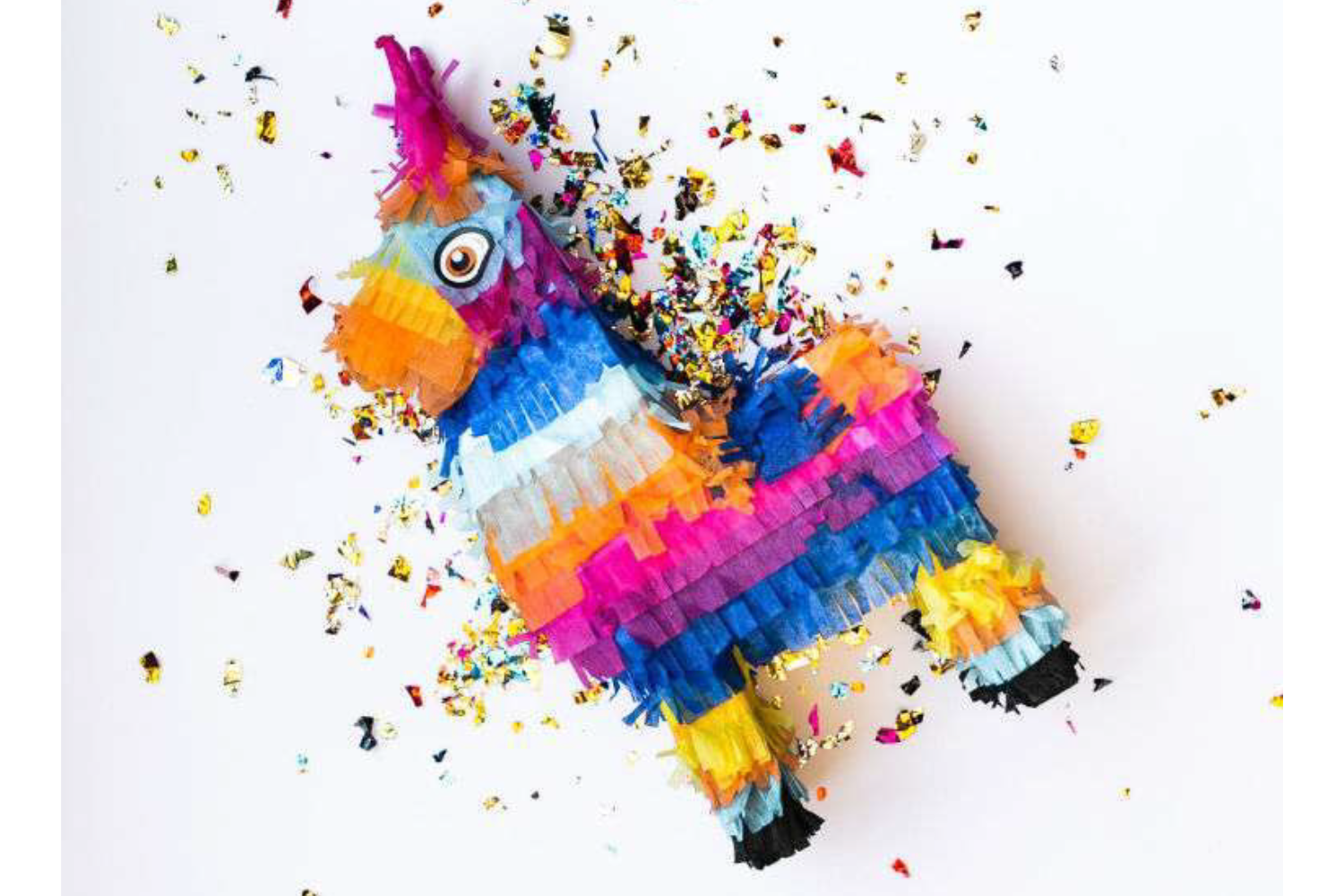 PIÑATA workshop